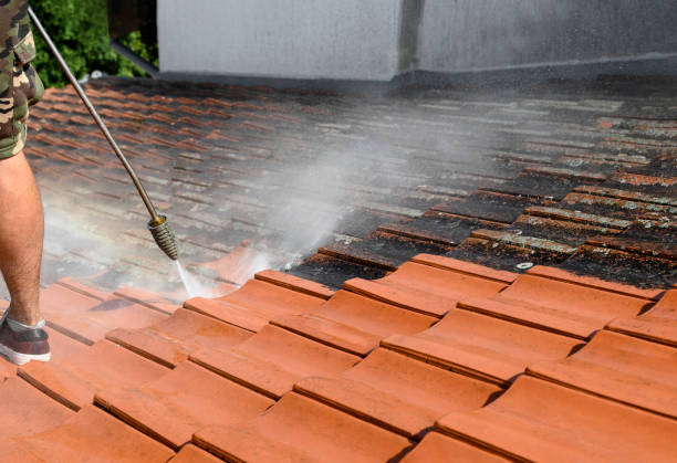 Best Residential Pressure Washing Services  in Taylor Mill, KY